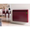 Radiador digital serie D ROINTE Colores RAL