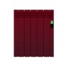 Radiador digital serie D ROINTE Colores RAL