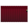 Radiador digital serie D ROINTE Colores RAL