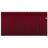 Radiador digital serie D ROINTE Colores RAL